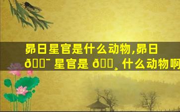昴日星官是什么动物,昴日 🐯 星官是 🌸 什么动物啊